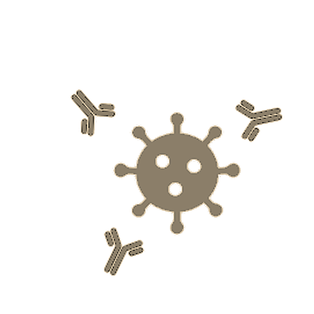 Hereditary Angioedema